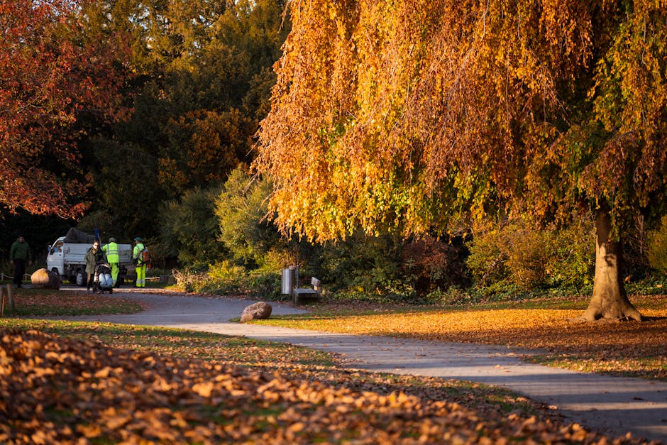 A group of four workers dressed in high-visibility yellow and green jackets are gathered near a white utility van parked on a paved pathway within a park setting during autumn. The workers are engaged in a task that appears related to waste or debris removal, with tools and equipment possibly in use. The pathway curves gently through an area surrounded by vibrant fall foliage, including a large tree with orange, yellow, and red leaves cascading down from its branches. Fallen leaves cover portions of the ground and pathway, creating a colorful natural carpet. The background features dense trees with autumn colors and a mature tree with a thick trunk and wide-spreading branches displaying a broad canopy of orange and yellow leaves. A metallic trash bin and a bench are visible along the pathway, indicating the area’s use for public recreation and waste management. The lighting suggests late afternoon or early evening, with warm sunlight illuminating the scene. This image exemplifies on-site waste management activities in a public park setting, reflecting the use of independent rubbish collection and clearance services like Waste Clearance Wimbledon for local outdoor spaces.